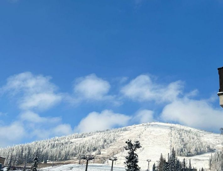 Территория  отеля