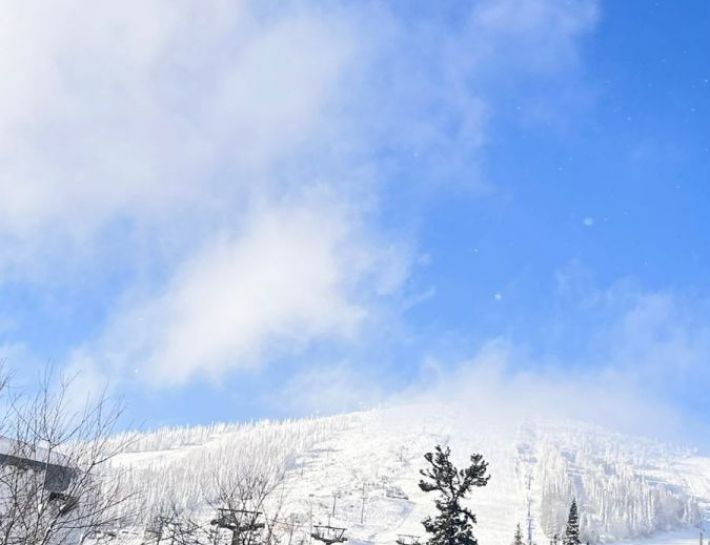 Территория  отеля